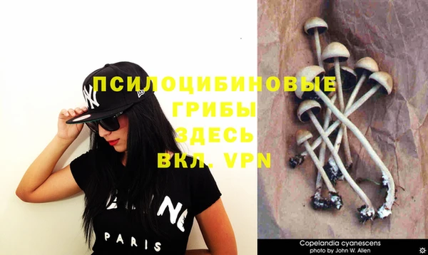 гашиш Козловка