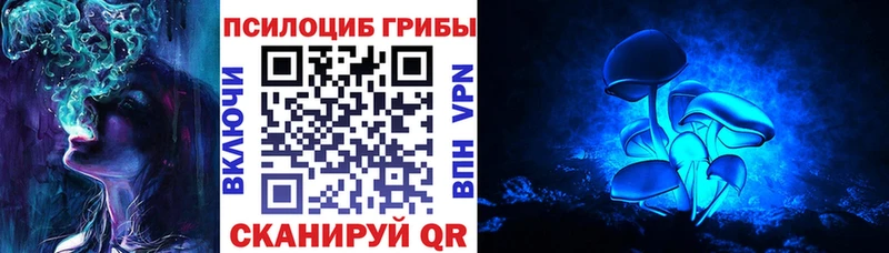 магазин продажи   Лесозаводск  МЕГА ссылка  Псилоцибиновые грибы Cubensis 